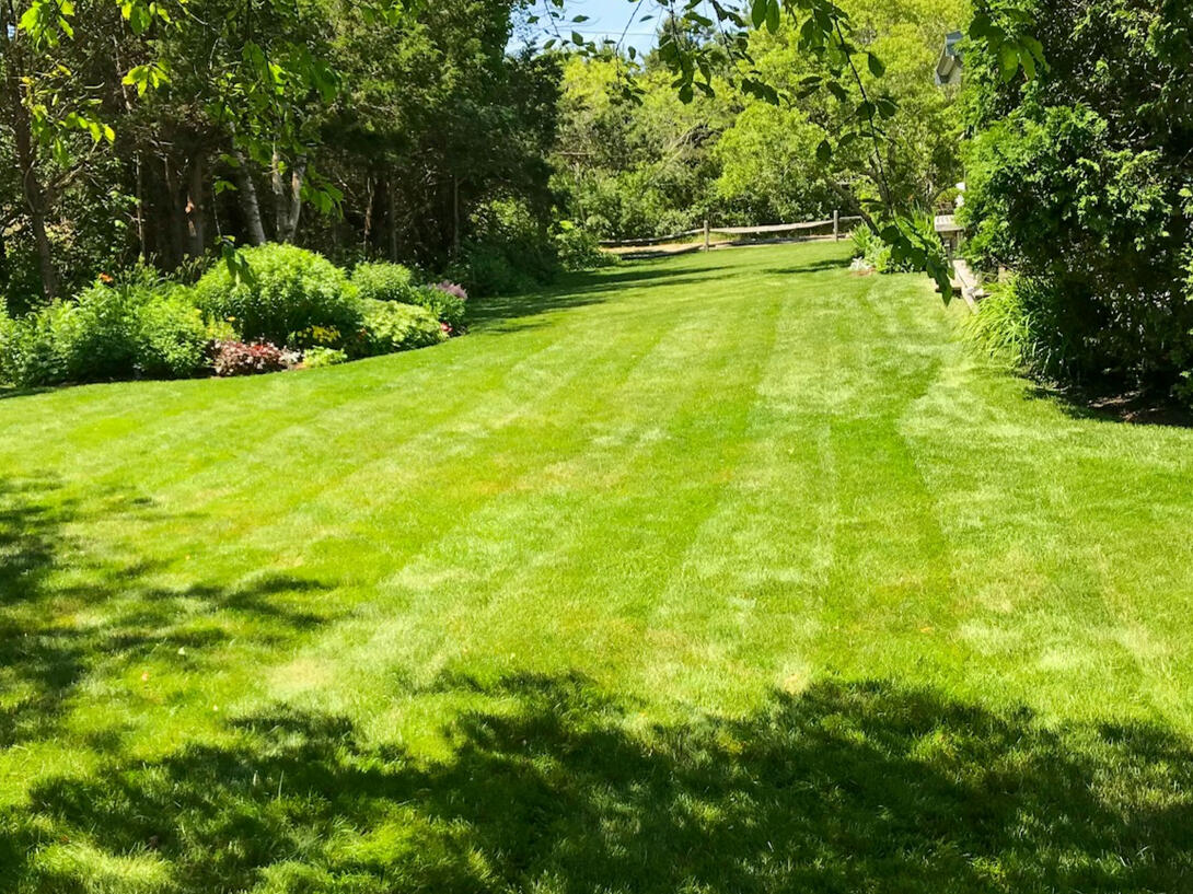 Mowed and Groomed Backyard in Chardon Ohio